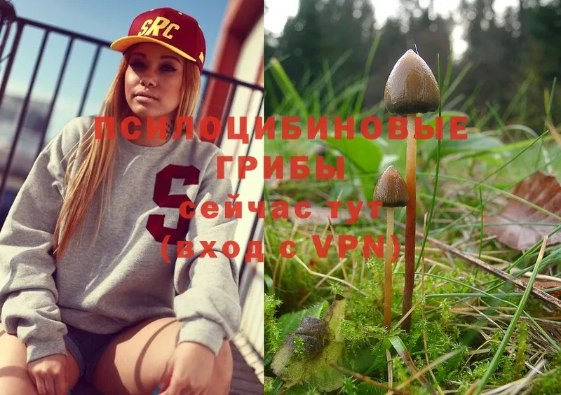 Псилоцибиновые грибы Magic Shrooms  OMG онион  Заполярный  где можно купить наркотик 